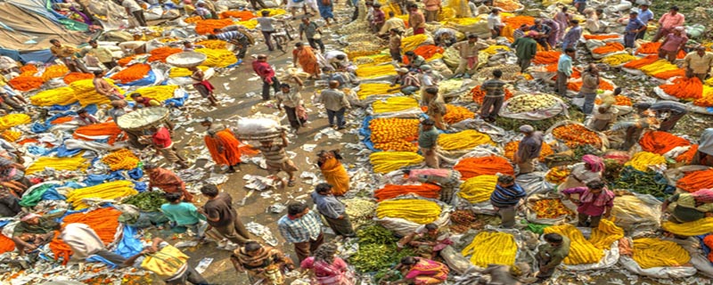 Flower Market 